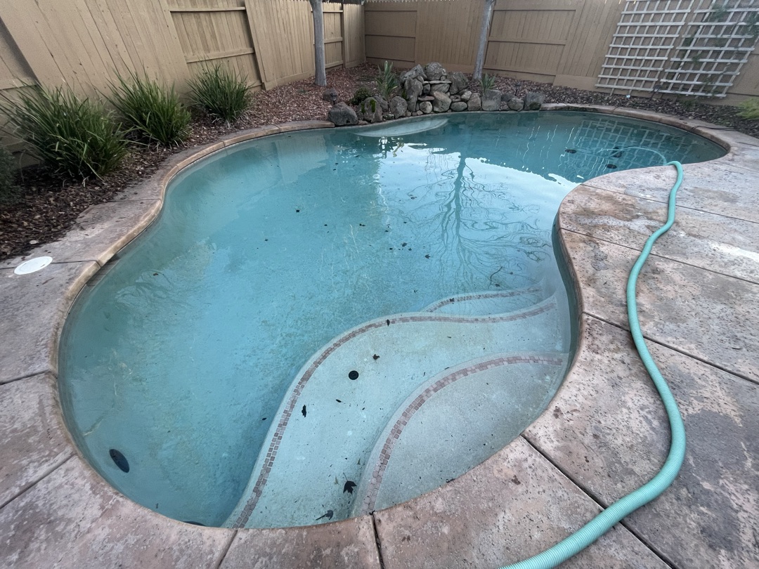 Pool with worn plaster and faded mosaic band before remodel
